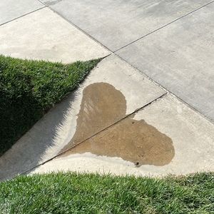 Meet your Posher, Carla